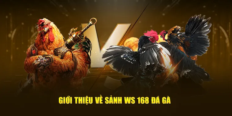Cách Chơi Đá Gà WS168 Tại RikVip Với Hướng Dẫn Chi Tiết Dễ Hiểu