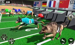 Cách Chơi Game Nhanh Đua Chó Tại RikVip Dễ Hiểu Cho Người Mới