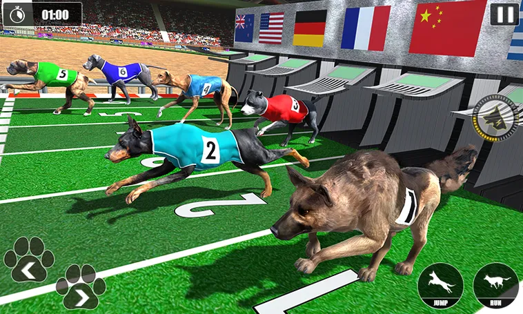 Cách Chơi Game Nhanh Đua Chó Tại RikVip Dễ Hiểu Cho Người Mới
