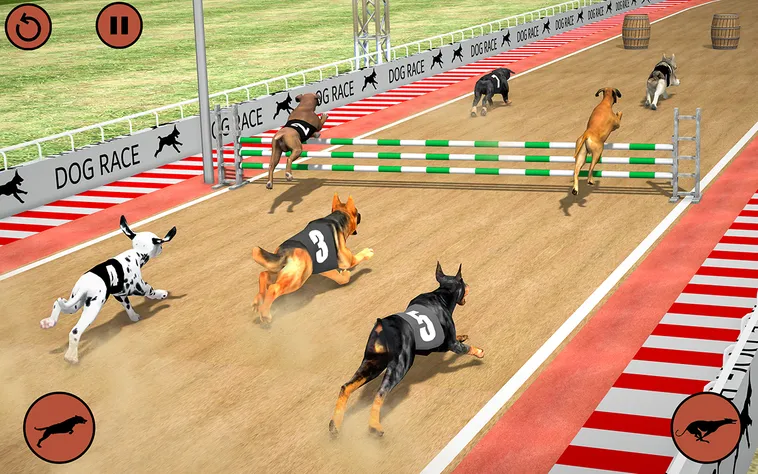 Cách Chơi Game Nhanh Đua Chó Tại RikVip Dễ Hiểu Cho Người Mới
